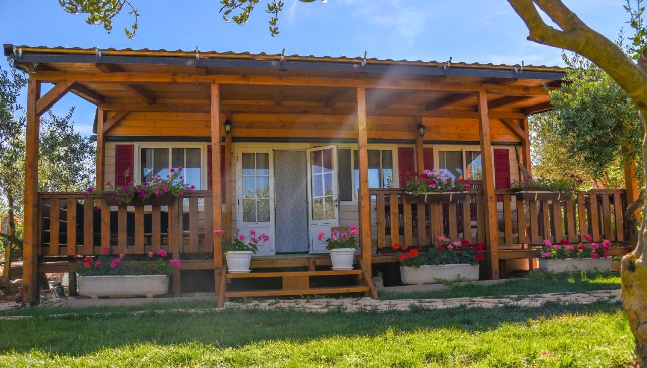 House Matea Villa Bilice Exteriör bild